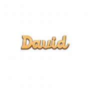  Decor nume David debitat laser